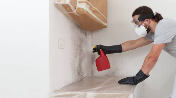 Professional Crawl Space Mold Remediation technician working in Roaring Spring, PA